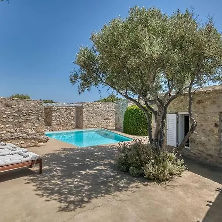 Finca - Atypical *