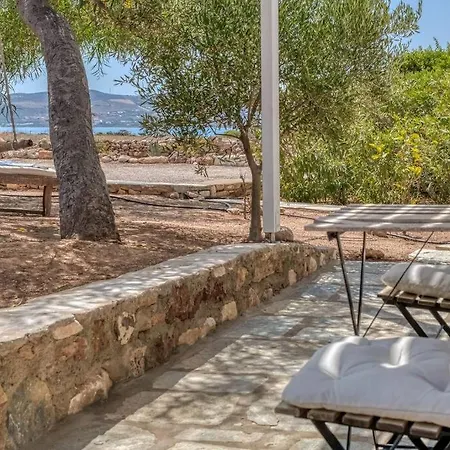Finca - Atypical *